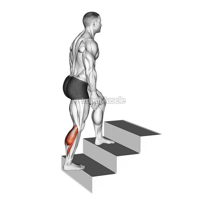 Calves stretch demonstration