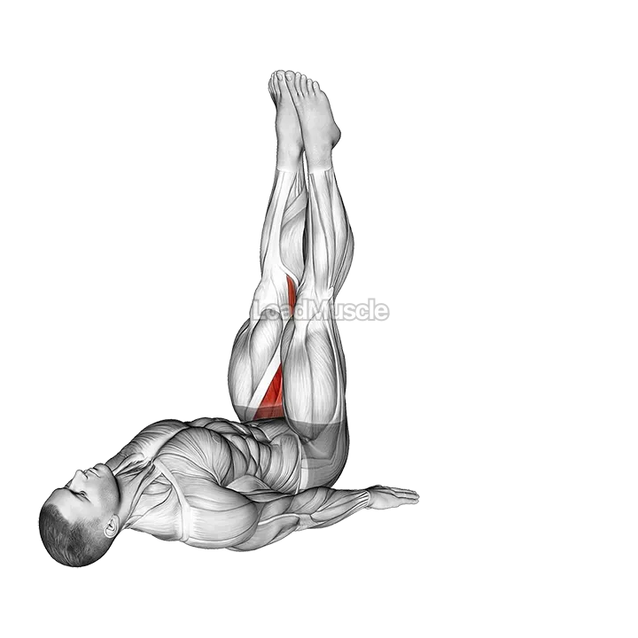 Adductor Stretch demonstration