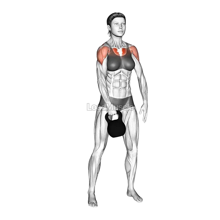 Kettlebell Standing Slingshots demonstration