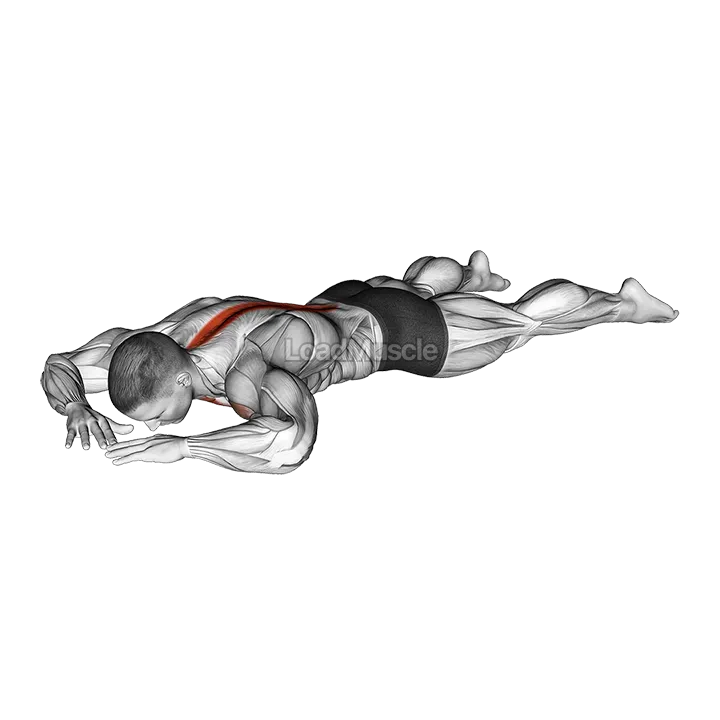 Diamond Press demonstration