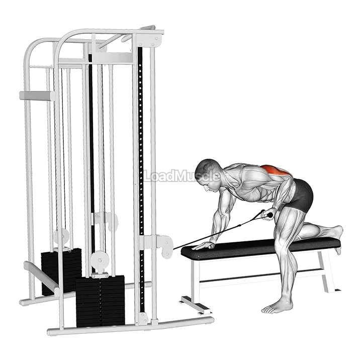 Cable Bent Over Single Arm Kickback demonstration