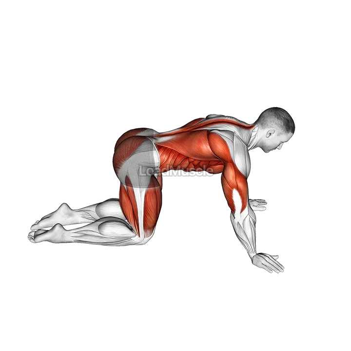 Child to Cobra Pose demonstration