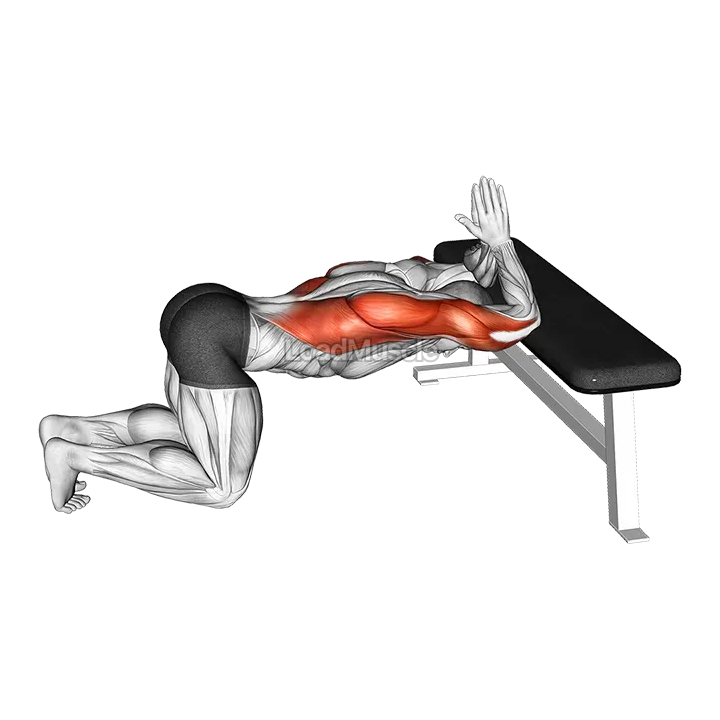 Kneeling Lat Stretch on Bench demonstration