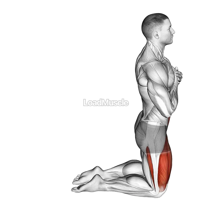 Body Extension demonstration