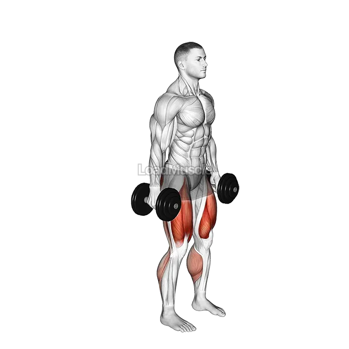 Dumbbell Squat Lunges Jump Complex demonstration