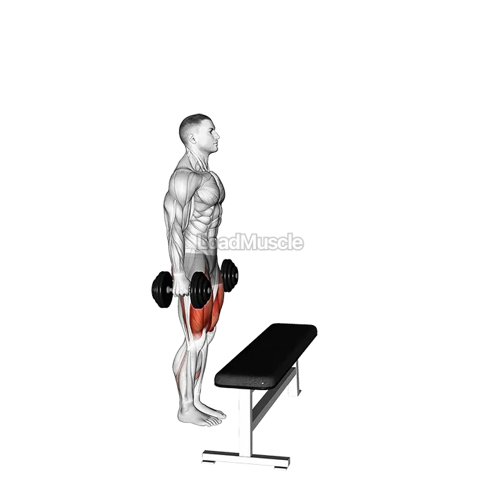 Dumbbell Step-up with Knee Raise demonstration