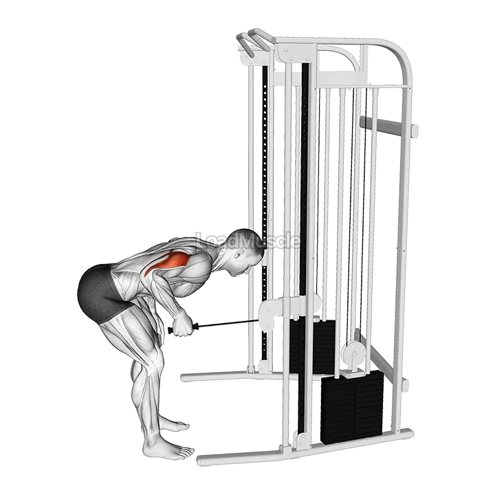 Cable Neutral Grip Kickback demonstration