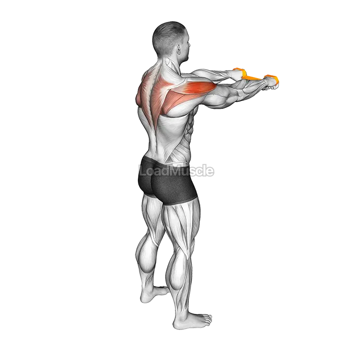 Resistance Band Pull Apart demonstration