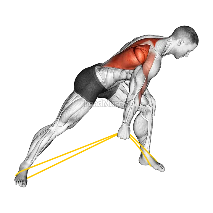Resistance Band One Arm Bent Over Row demonstration