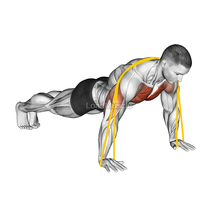 Resistance Band Push-up demonstration