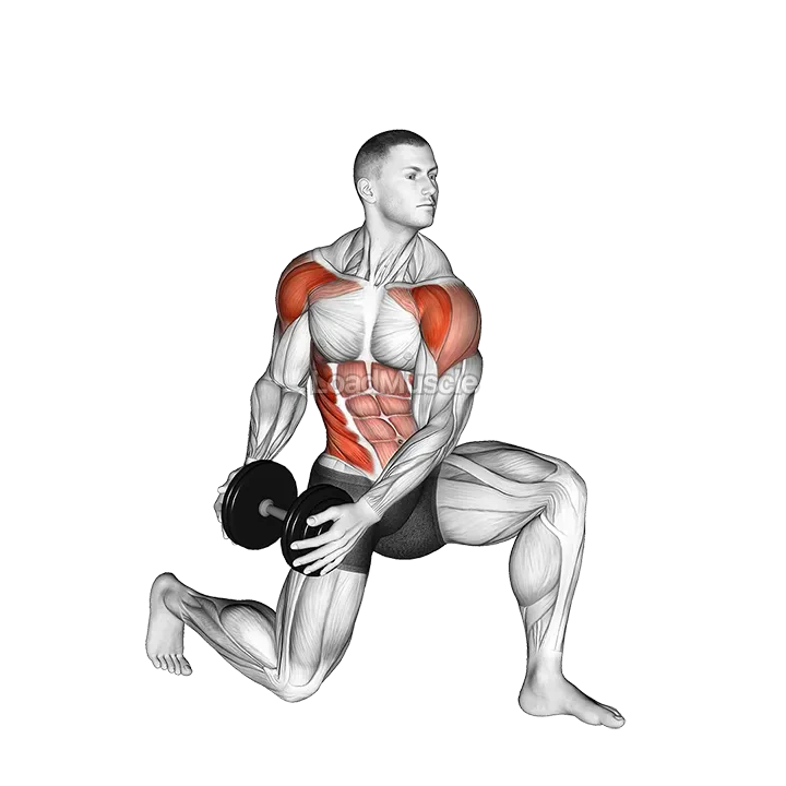Dumbbell Half Kneeling Lift and Chop demonstration