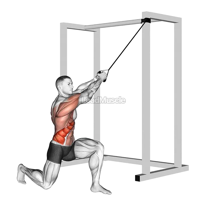 Band Half Kneeling Chop demonstration