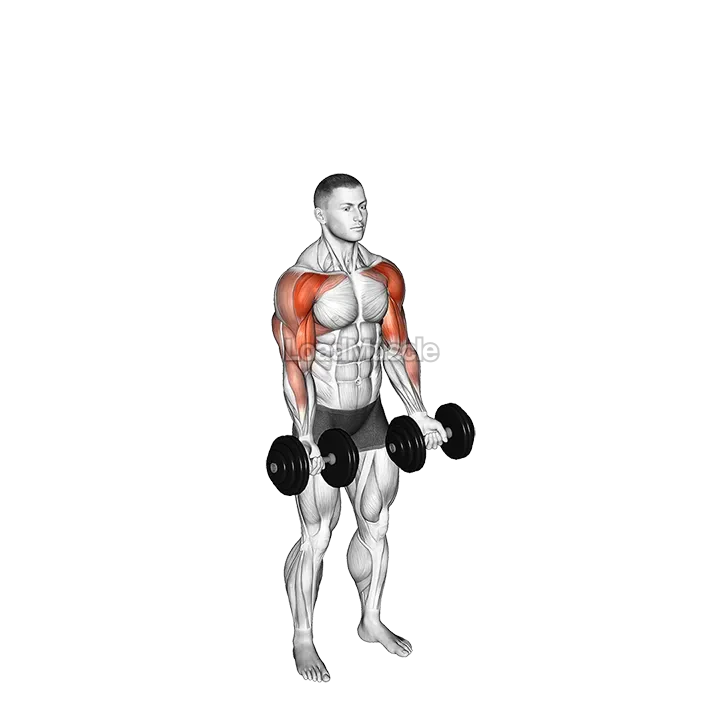 Dumbbell Standing Biceps Curl to Shoulder Press demonstration