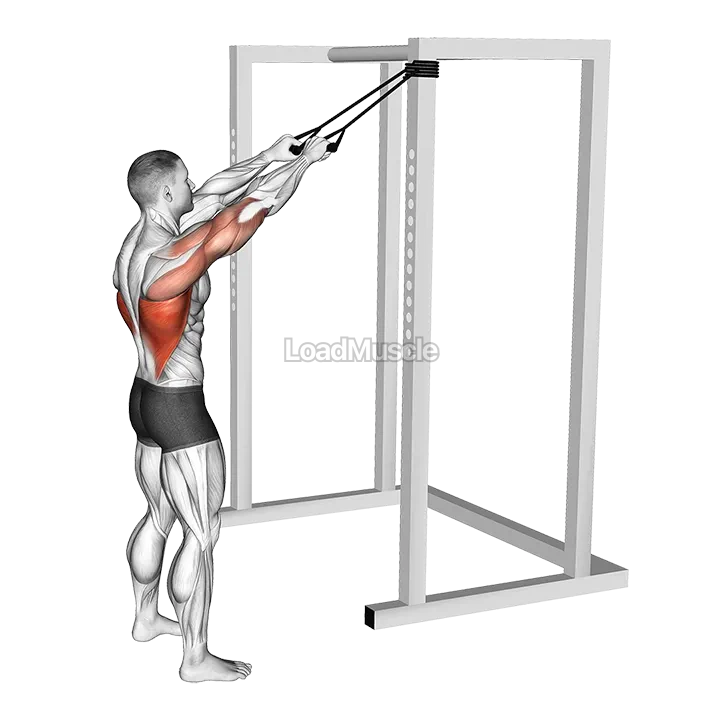 Band Standing Straight Arm Pulldown demonstration