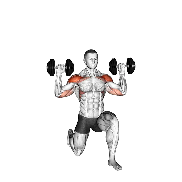 Dumbbell Half Kneeling Military Press demonstration