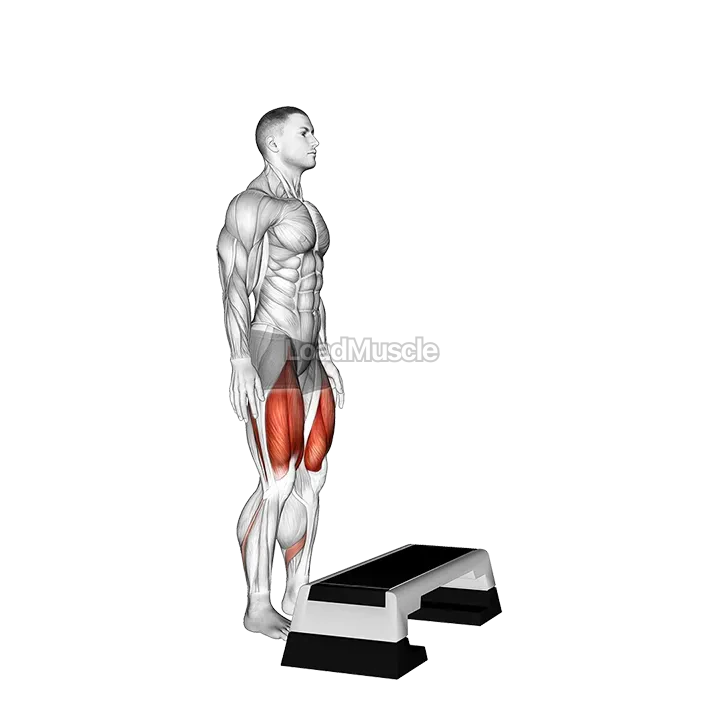 Bodyweight Step-up on Stepbox demonstration