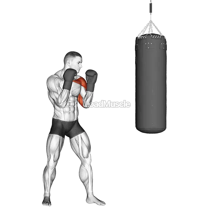 Boxing Jab (with boxing bag) demonstration