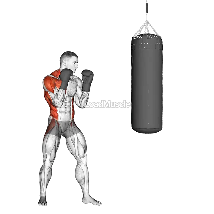 Boxing Right Cross (with boxing bag) demonstration