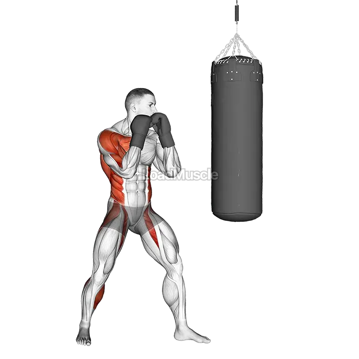 Boxing Right Hook (with boxing bag) demonstration