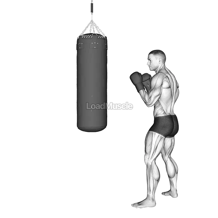 Front Groin Kick Kickboxing (with boxing bag) demonstration