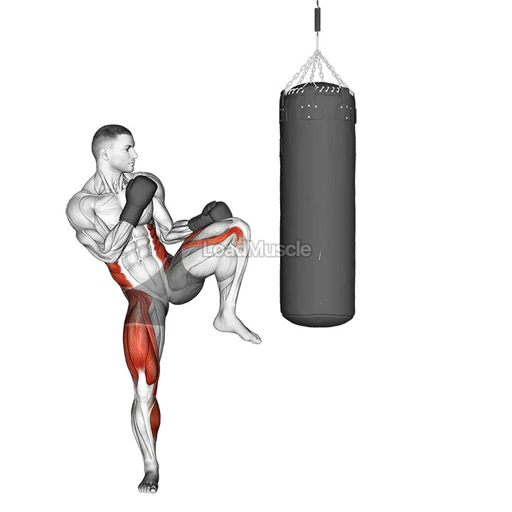 Front Kick Kickboxing (with boxing bag) demonstration