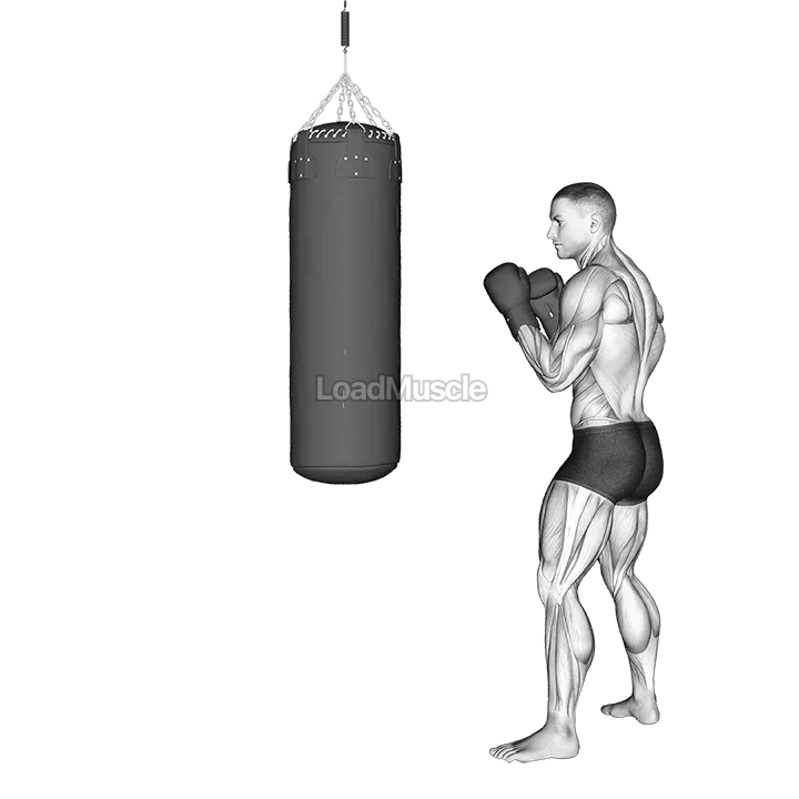 Front Snap Kick Kickboxing (with boxing bag) demonstration