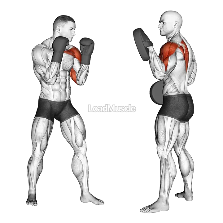 Boxing Jab (with partner) demonstration