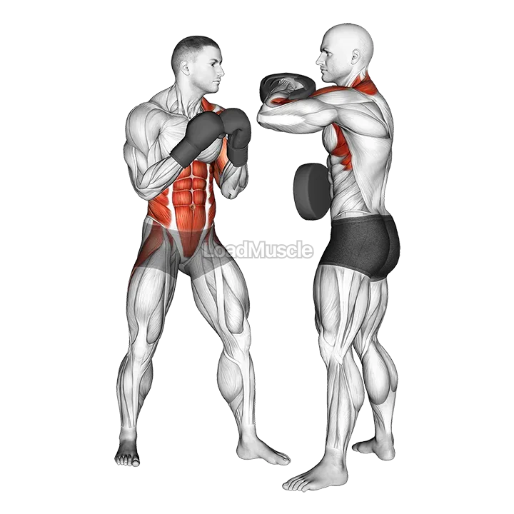 Boxing Left Uppercut (with partner) demonstration