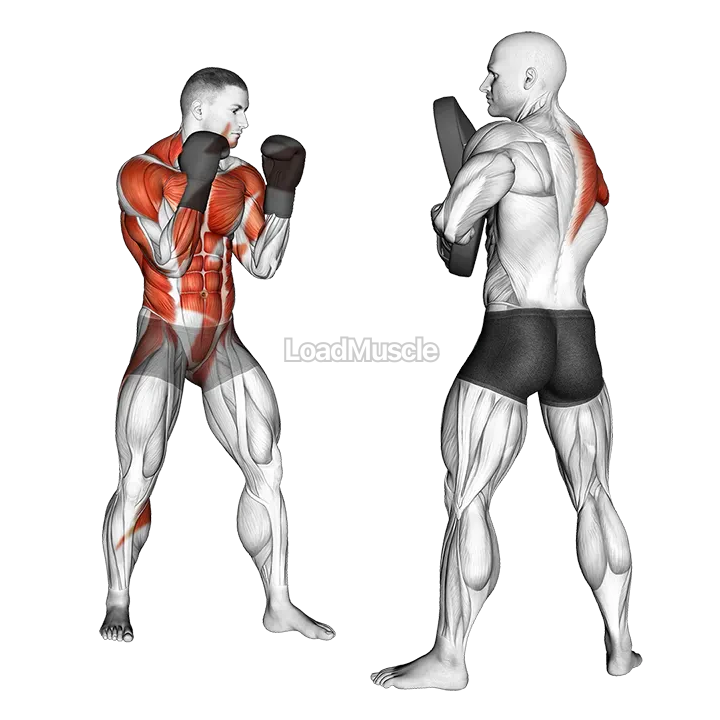 Boxing Right Cross (with partner) demonstration