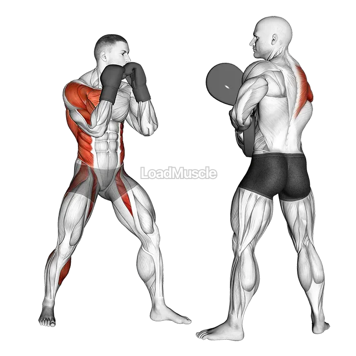 Boxing Right Hook (with partner) demonstration