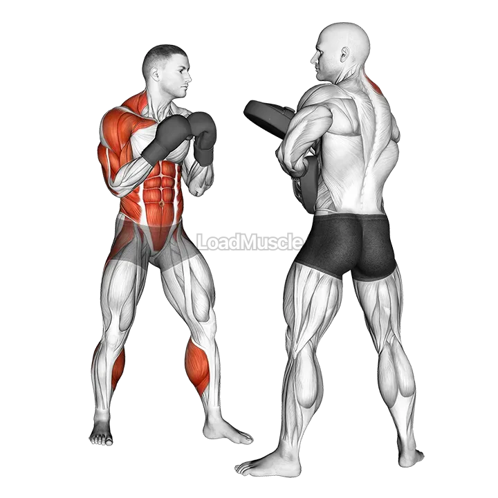 Boxing Right Uppercut (with partner) demonstration