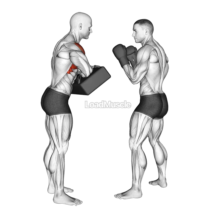 Front Knee Kick Kickboxing (with partner) demonstration
