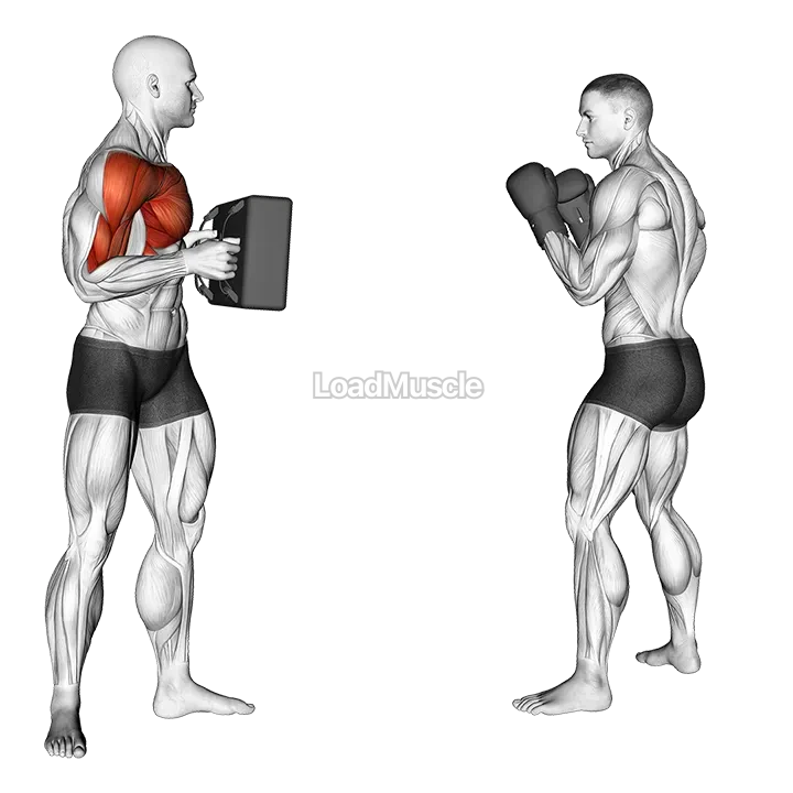 Front Snap Kick Kickboxing (with partner) demonstration