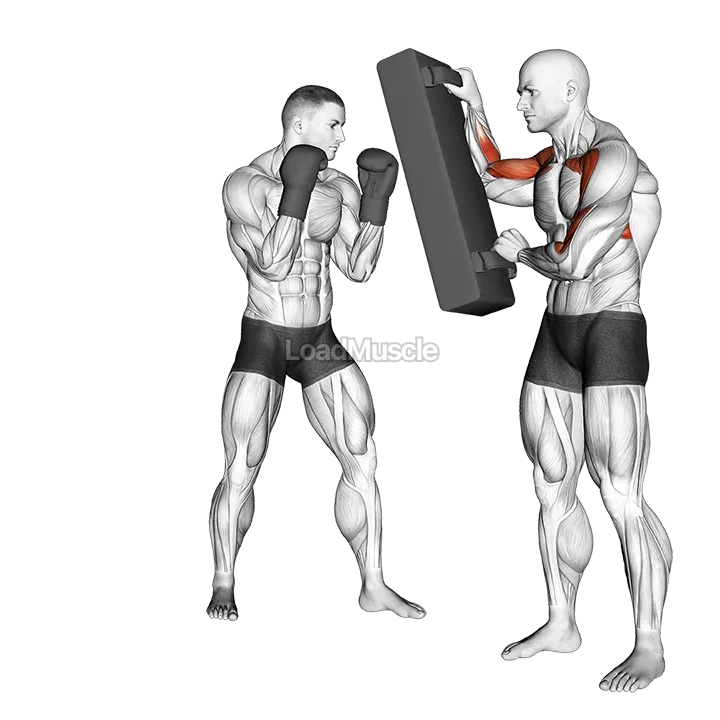 Hook Kick Kickboxing (with partner) demonstration