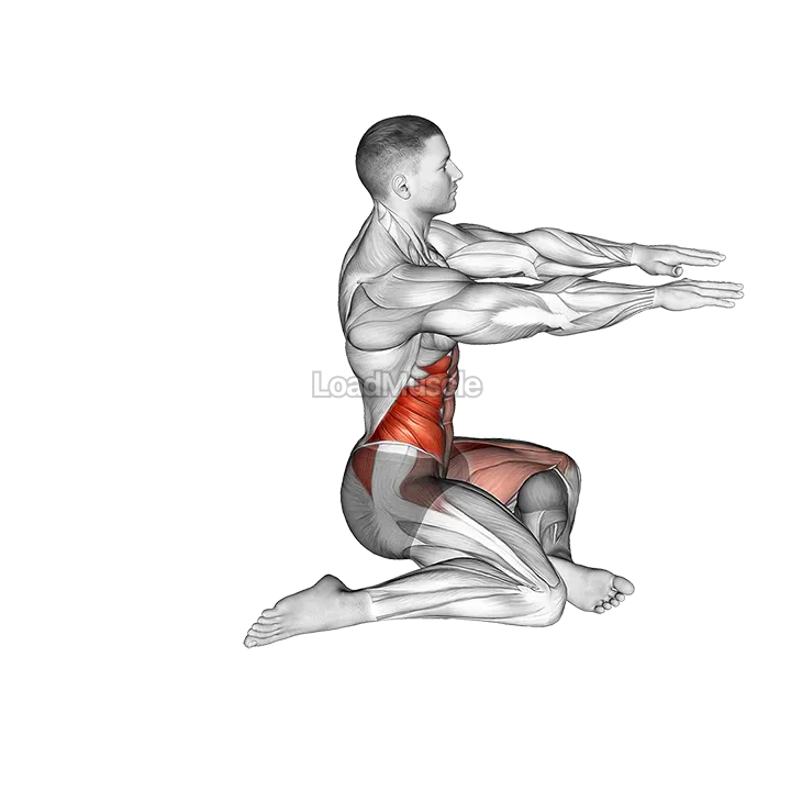 Shin Box Switch demonstration