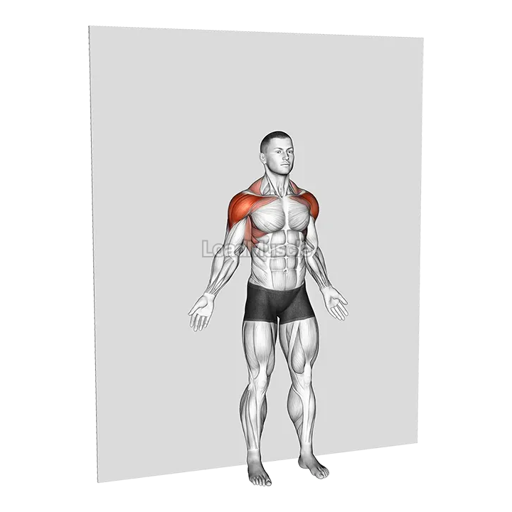 Bodyweight Standing Around World Wall Supported demonstration