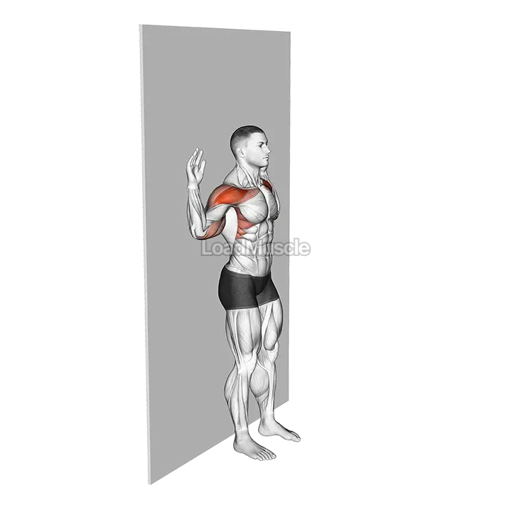 Bodyweight Standing Military Press Wall Supported demonstration