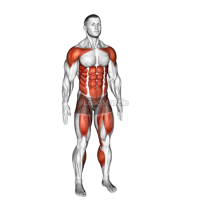 Leg Front Kick demonstration