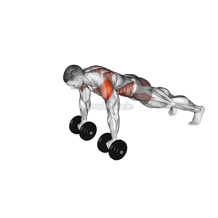 Dumbbell Front Plank Arm Raise demonstration