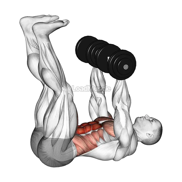Dumbbell Crunch-up demonstration