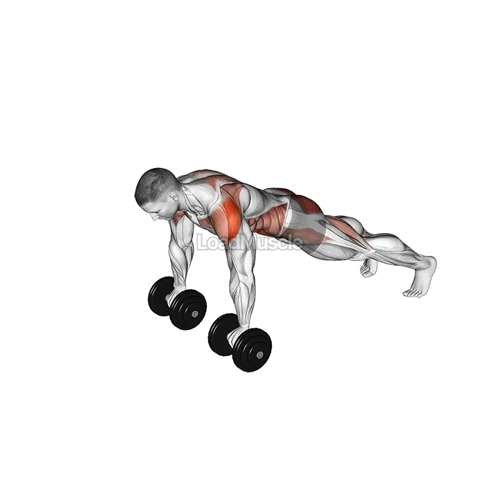 Dumbbell Front Plank Arm Leg Raise demonstration