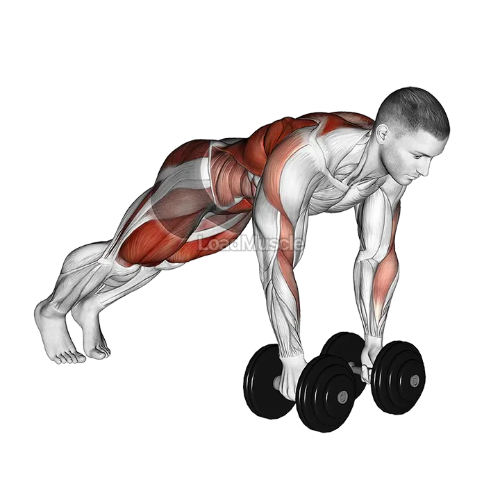 Dumbbell Renegade Row to Squat demonstration