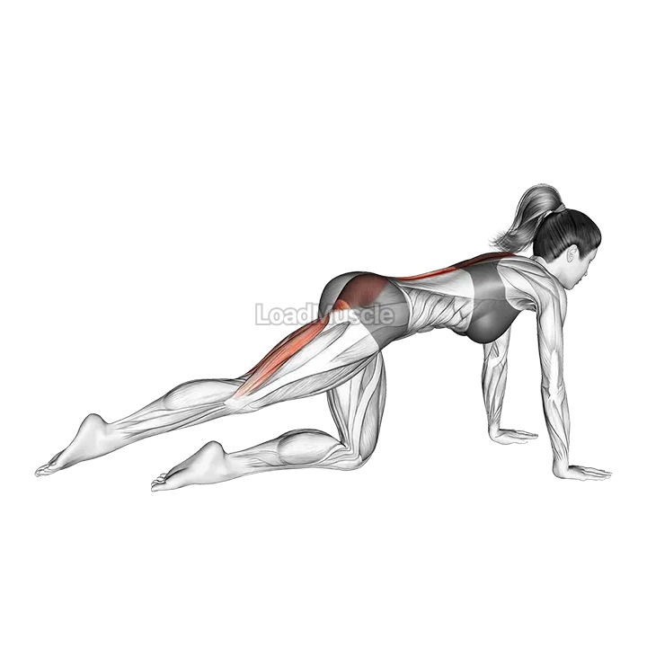 Kneeling Pulse demonstration