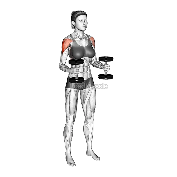 Dumbbell Bent Arm Lateral Raise demonstration