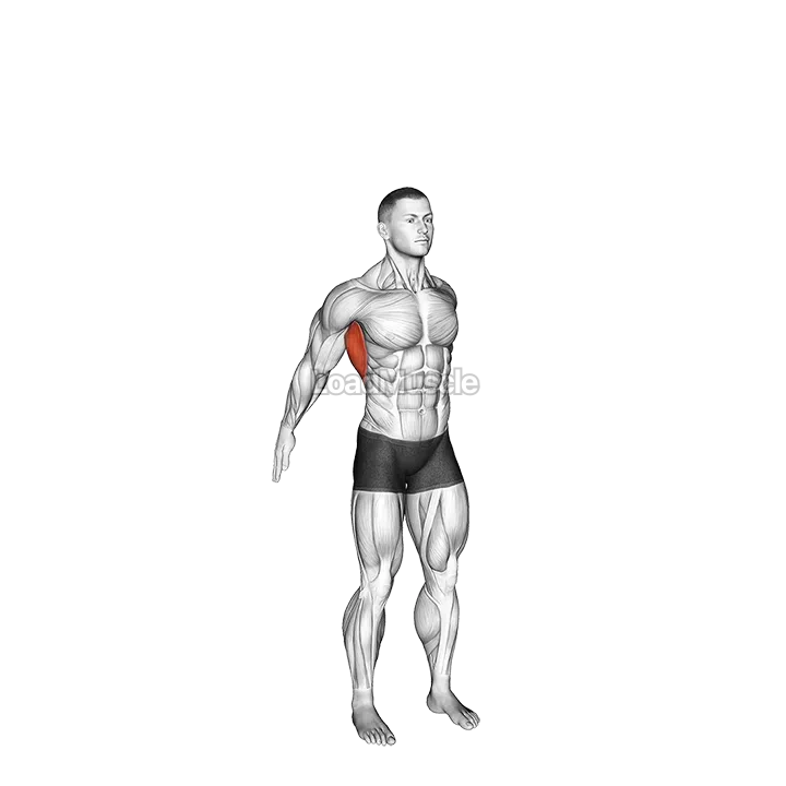 Dynamic Back Stretch demonstration