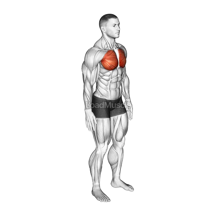 Elbows Back Stretch demonstration