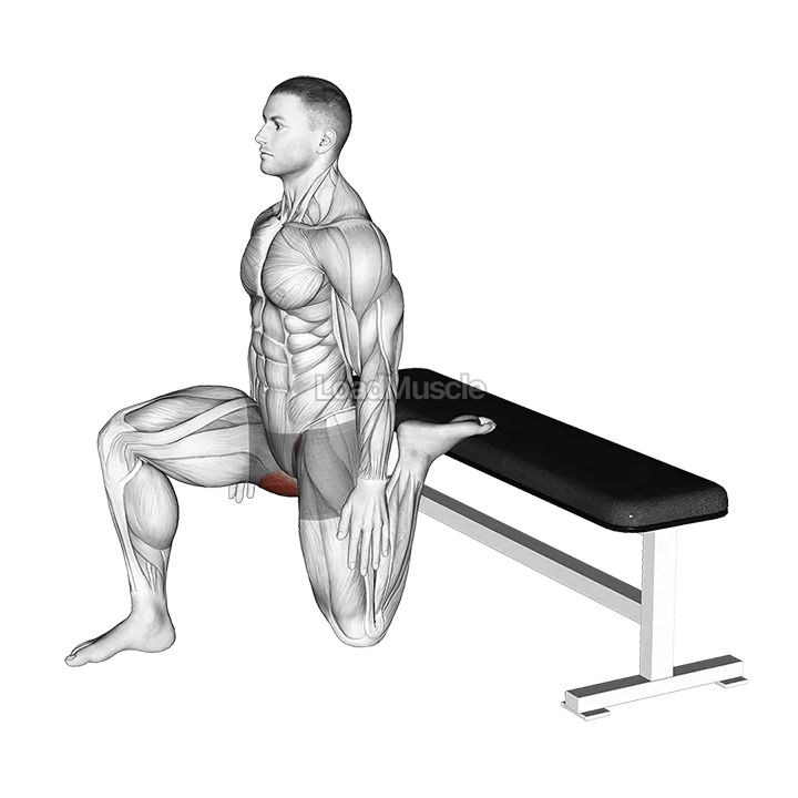 Hip Flexor Stretch Rear foot elevated demonstration