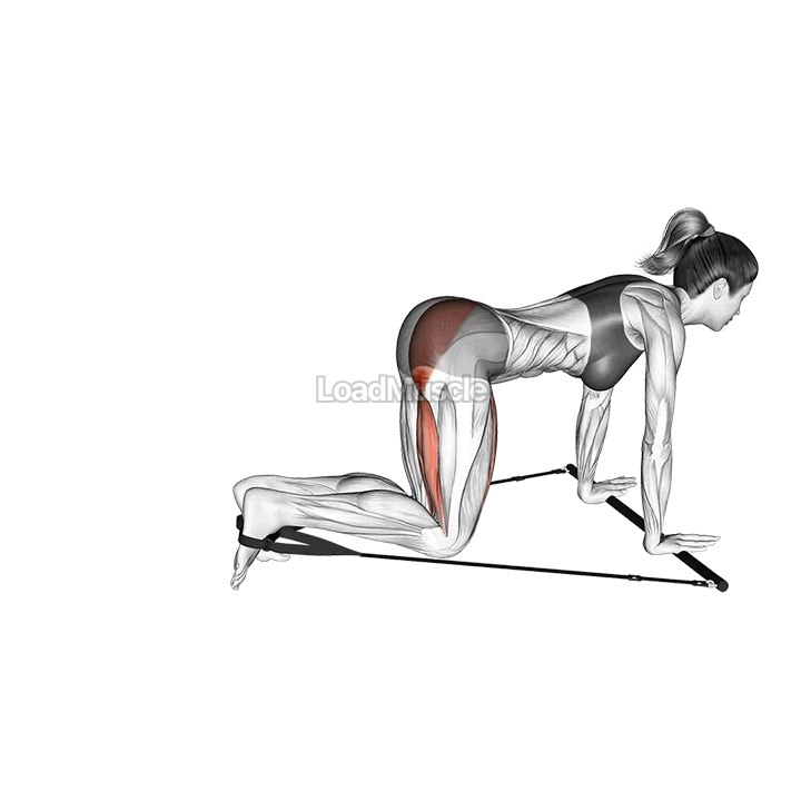 Bar Band Kneeling Single Leg Kick demonstration