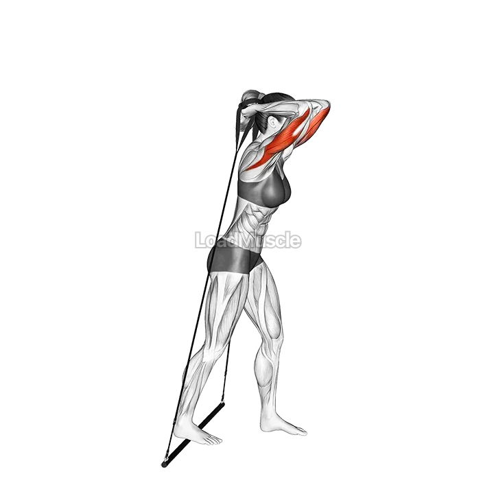Bar Band Standing Triceps Extension demonstration