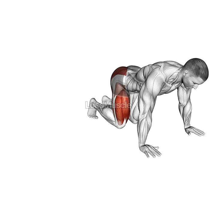 Kneeling Side Leg to Kick demonstration